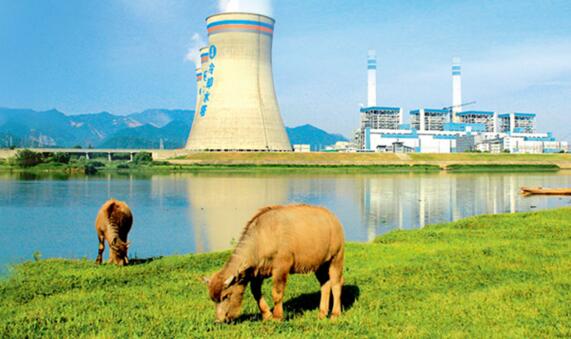 亚洲国产综合精品中文一区二区