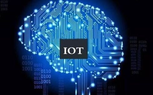 亚洲国产综合精品中文一区二区